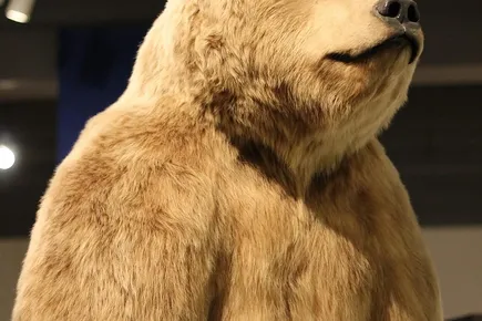 skitour4