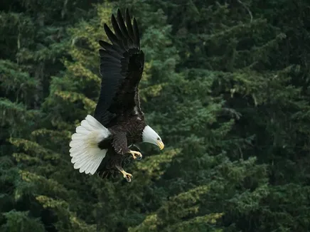 Alaska-Field-Training-8