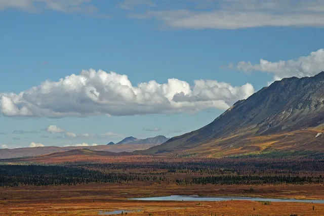 Alaska Winter Wilderness Trips