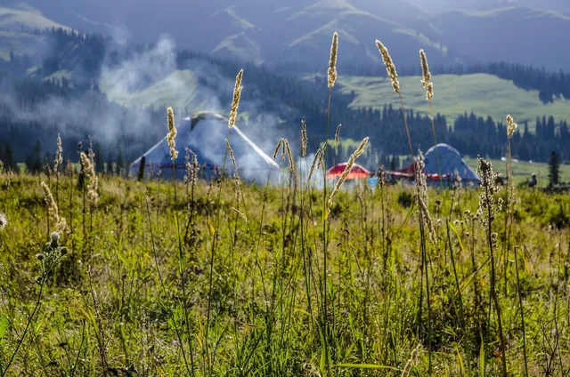 Fairbanks-Yurt-Rental