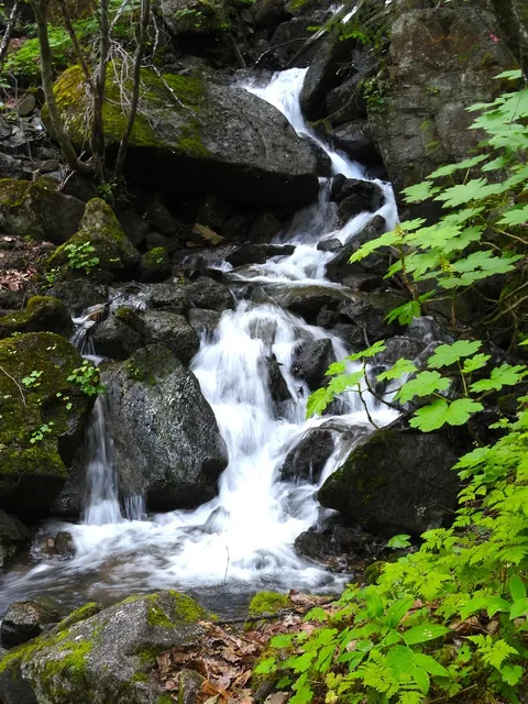 Alaskan River Trips