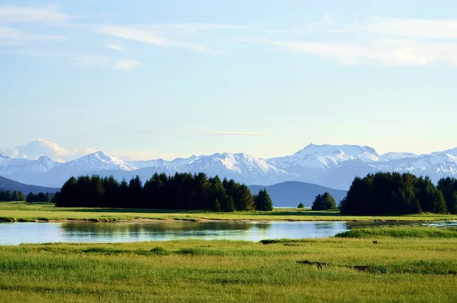 Experienced Professional Alaskan Guides