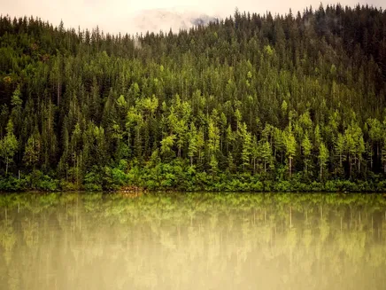 Alaska-Field-Training-9