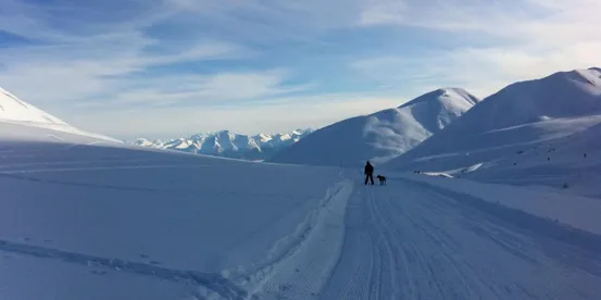 Alaska River Trips and Wilderness Tours