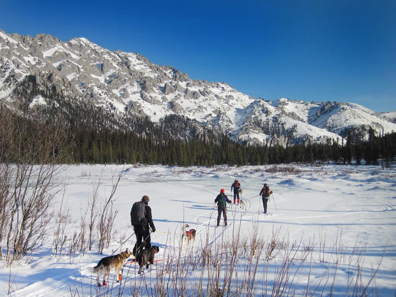 Alaska snowshoe tours, dog-mushing trips, hut to hut ski tours